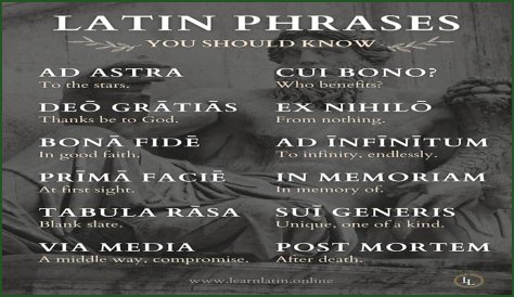 A Profile Of A Latin Beauty