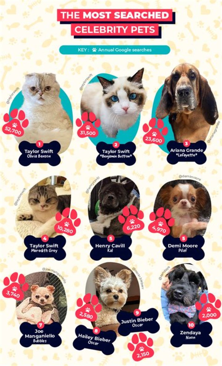 30 Funniest Celebrity Pet Names