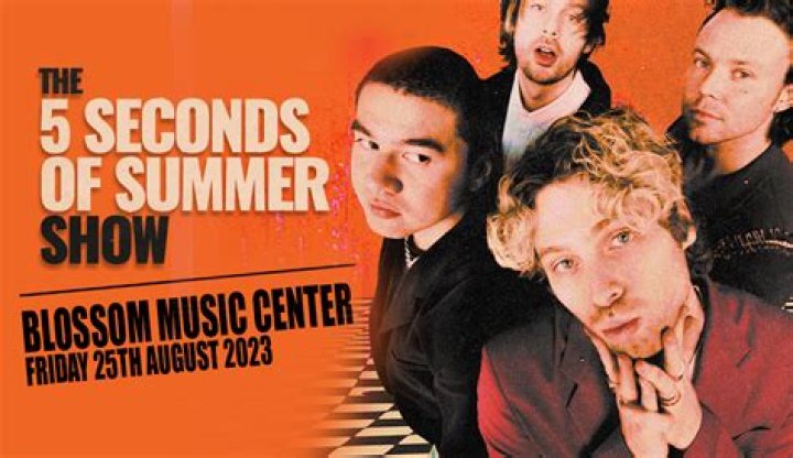 5 Seconds of Summer release new track 'Wildflower'