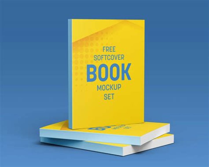 A mock-up of the texts with Mr Kean in blue and Ms Petinos in grey