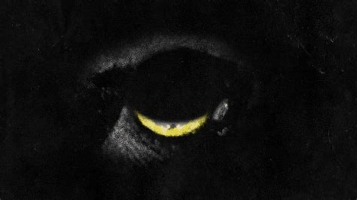 Are YOU Still Sleeping, twenty one pilots?