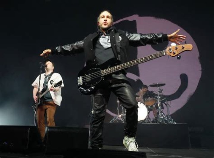 Artist 101: Fall Out Boy