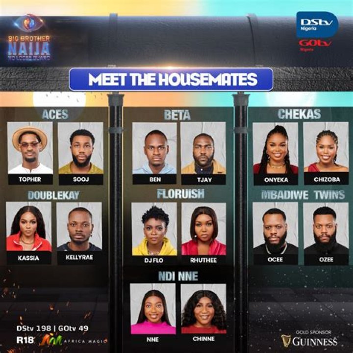 BBNaija 'All Stars' Season 8: Unveiling the Cherished & Favorite Housemates