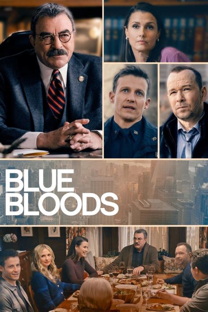 Blue Bloods Recap 04/02/21: Season 11 Episode 10 "The Common Good"