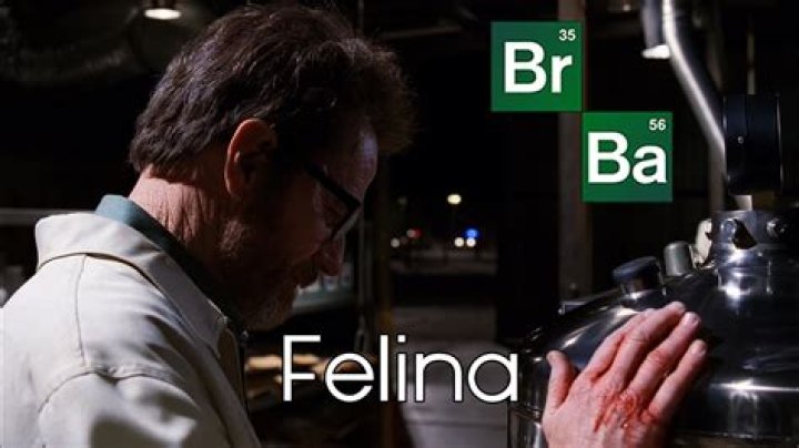 Breaking Bad RECAP 9/29/13: Series Finale “Felina”
