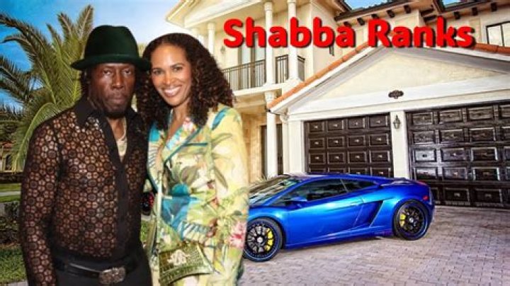 Dan Shaba Net Worth, Age, Height, Bio, Birthday, Wiki!