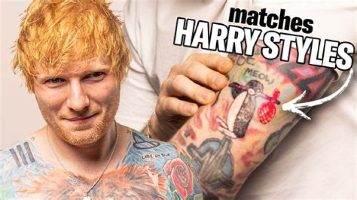 Ed Sheeran's tattoo-trolling - CelebMix