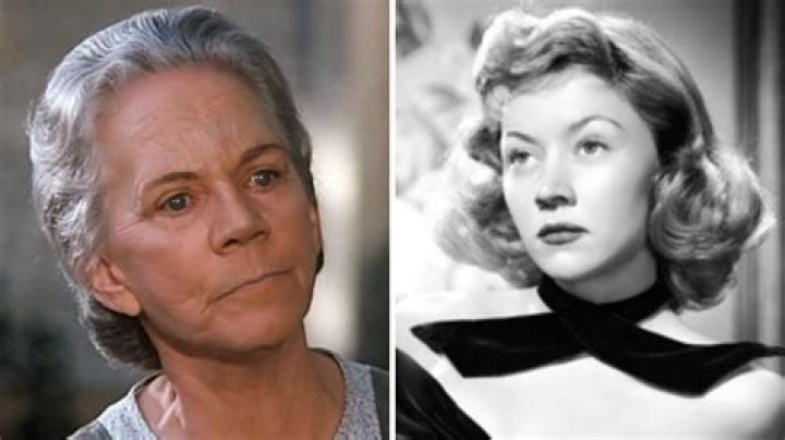 Fame | Ellen Corby net worth and salary income estimation Jan, 2024