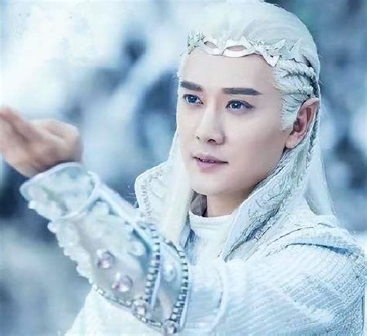 Feng Shaofeng - Net Worth, Age, Height, Birthday, Bio, Wiki!