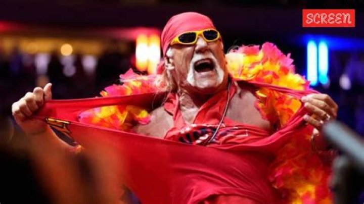 Hulk Hogan Sex Tape Leak Leads to Linda Hogan’s Arrest?