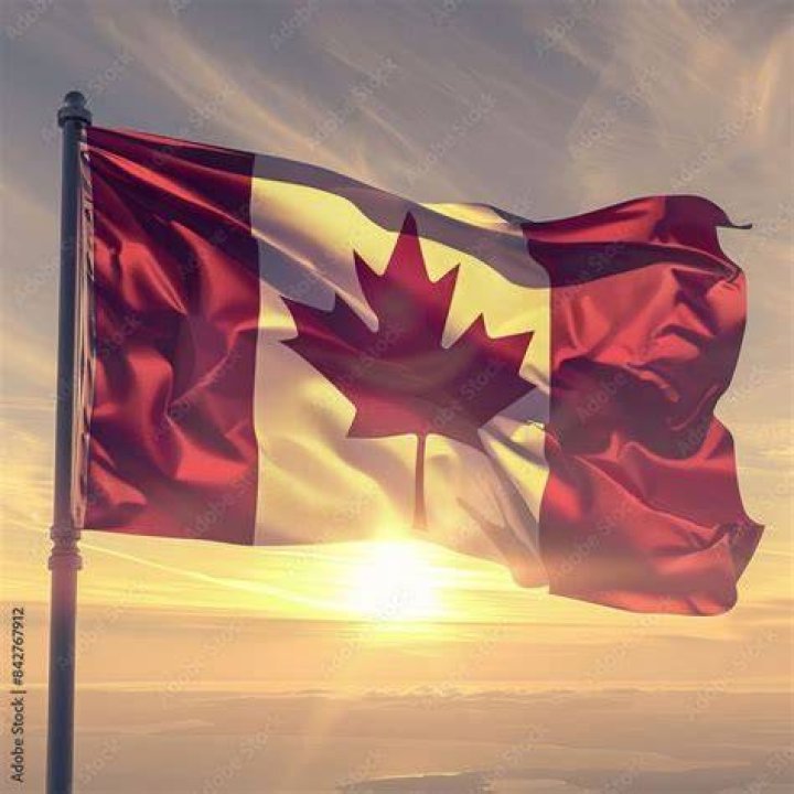 Image result for canadian flag