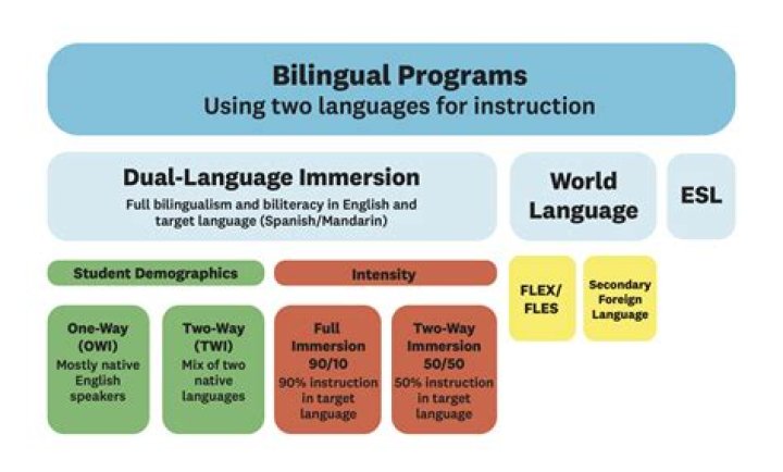 Innovative Approaches to Bilingualism: How Dalma Daniela's Cultural Programs Made a Difference