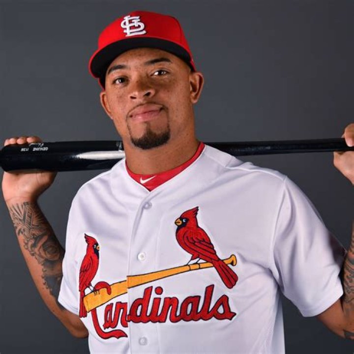 Is Sosa On The Cardinals Related To Sammy Sosa? Edmundo Sosa Dad Name And Family