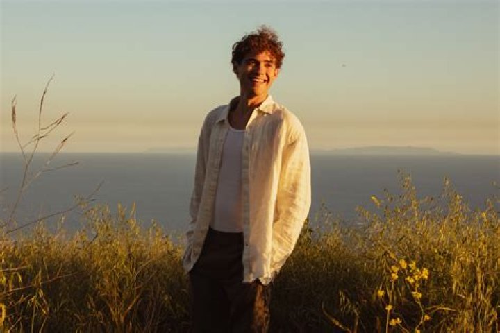 Joshua Bassett Drops New Single, 'Feel Something'