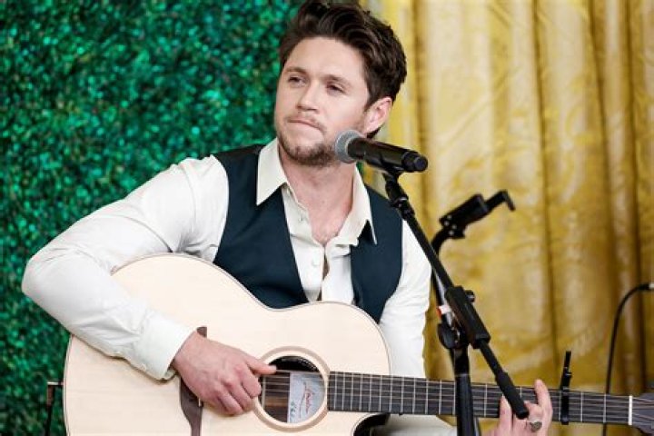 Niall Horan: A Year in Review