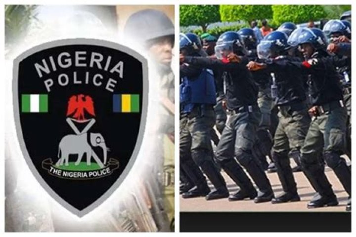 Nigeria Police Ranking: Ranks in the Nigeria Police Force