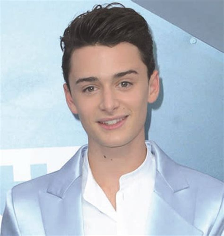 Noah Schnapp Biography, Age, Height, Net Worth, Twin, TikTok, Girlfriend, Movies, Sister