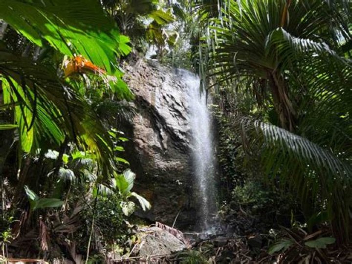 O’Soleil Chalets, Cascade, Seychelles