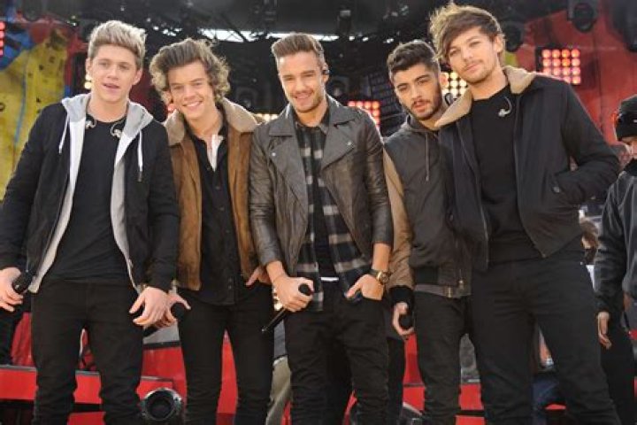 One Direction’s Harry Styles, Liam Payne, Zayn Malik, Niall Horan, Louis Tomlinson Show Off Naked Gym Photos