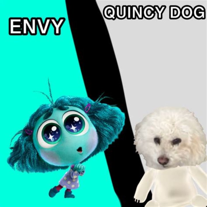 Quincy The Dog - Net Worth, Age, Height, Birthday, Bio, Wiki!