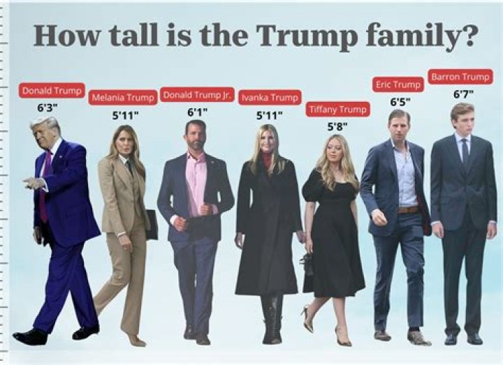 Toby Jones height: How tall is Toby Jones?