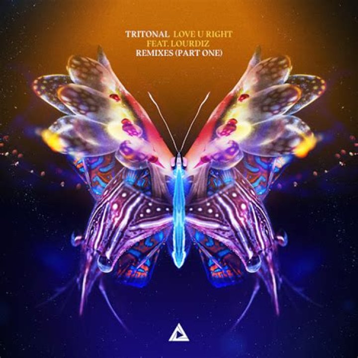 Tritonal Release Music Video for 