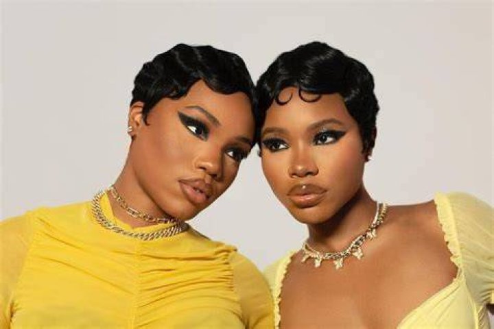 VanJess net worth