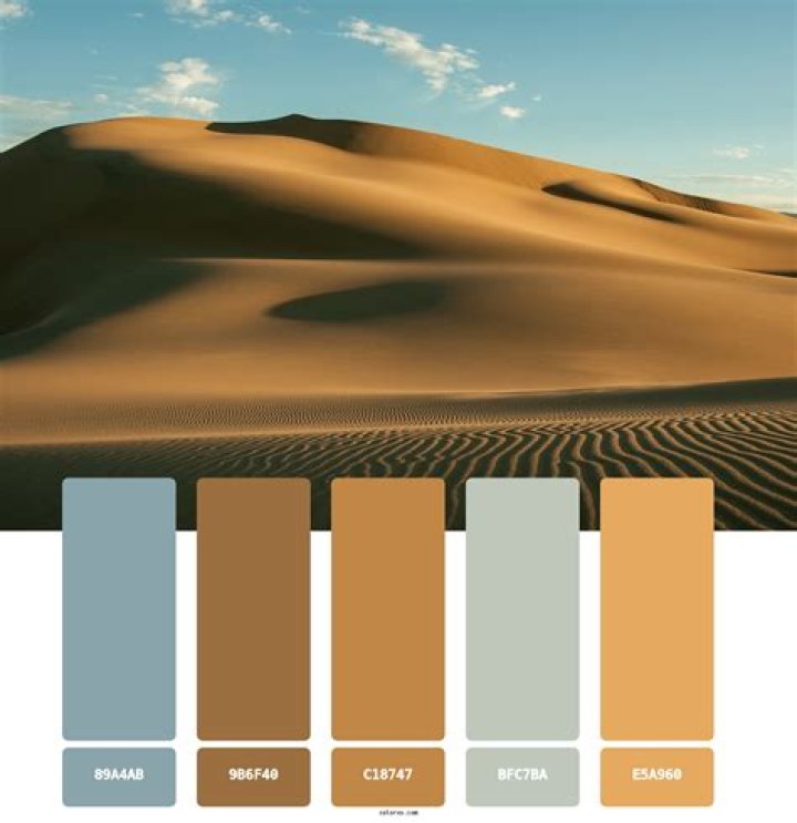 Violet Sands and Deidre & the Dark “Desert Rental Home” is an Ideal Offering for a Retreat from Reality
