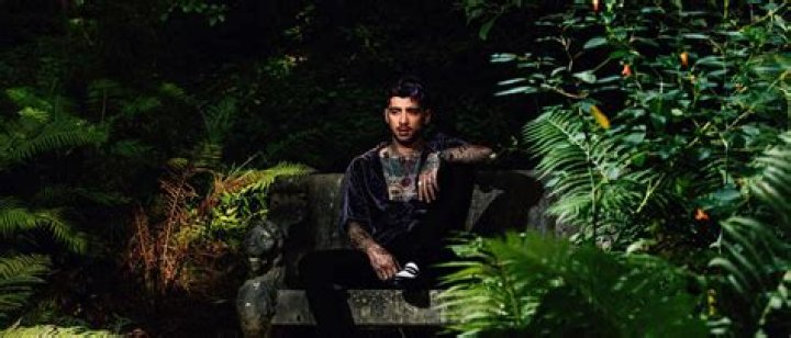 Zayn Releases Eagerly Anticipated Single 'Better'